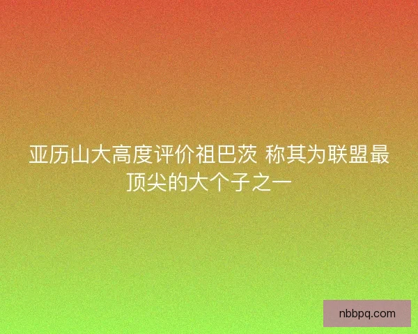 亚历山大高度评价祖巴茨 称其为联盟最顶尖的大个子之一